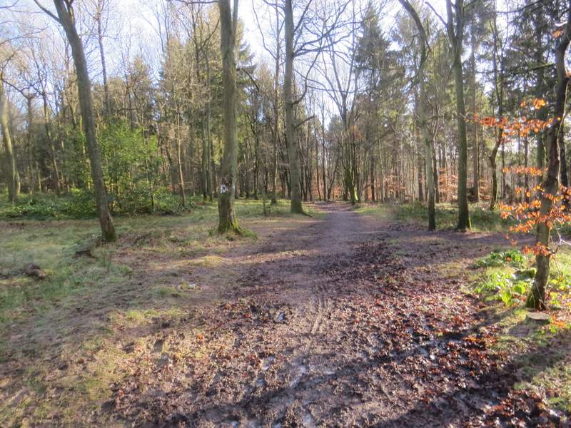 Pete's Walks Cowleaze Wood, Studdridge Farm, Christmas Common (page 1